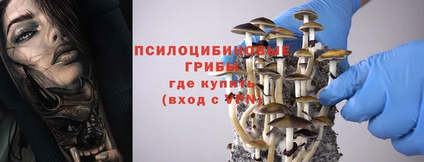 прущая мука Магас