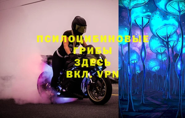 прущие крисы Магадан