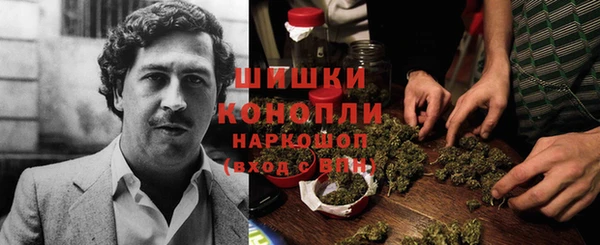 прущие крисы Магадан